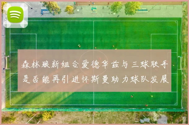 森林狼新组合爱德华兹与三球联手是否能再引进怀斯曼助力球队发展