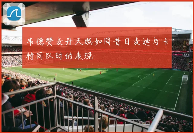 韦德赞麦丹天赋如同昔日麦迪与卡特同队时的表现